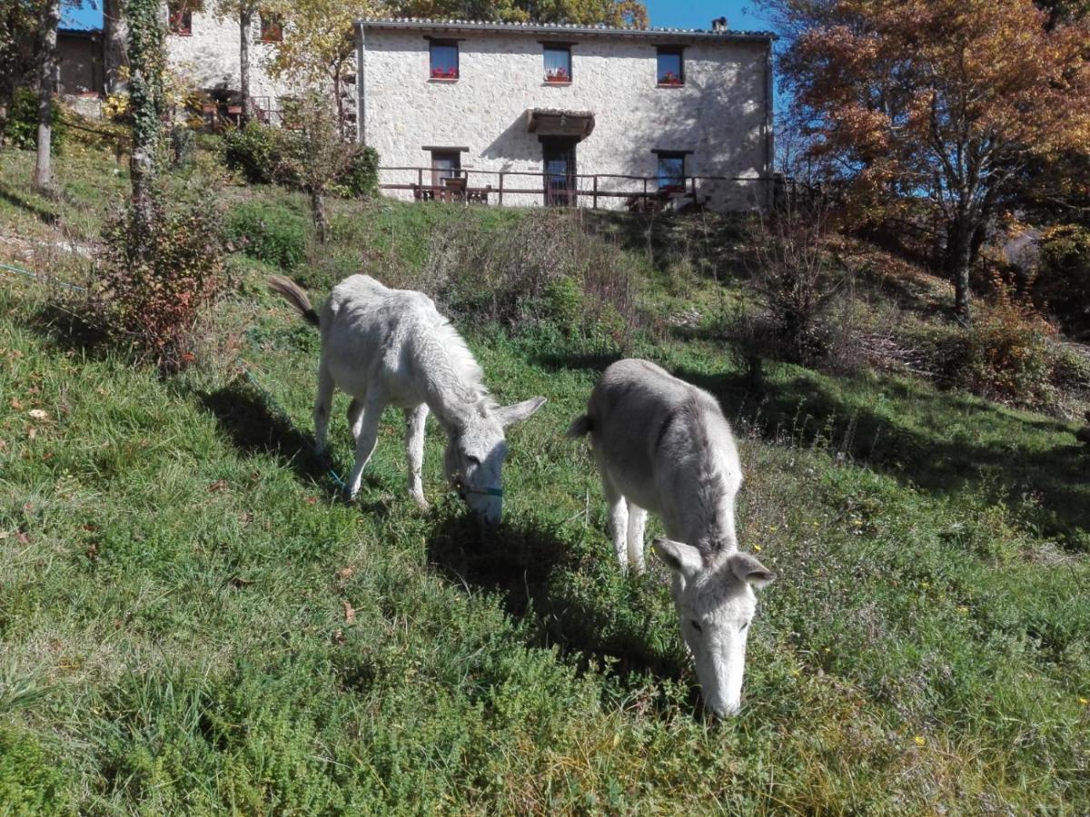 I Casali Del Buontempo Buggiano Exterior foto